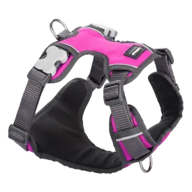 Red Dingo Padded Harness Hot Pink S