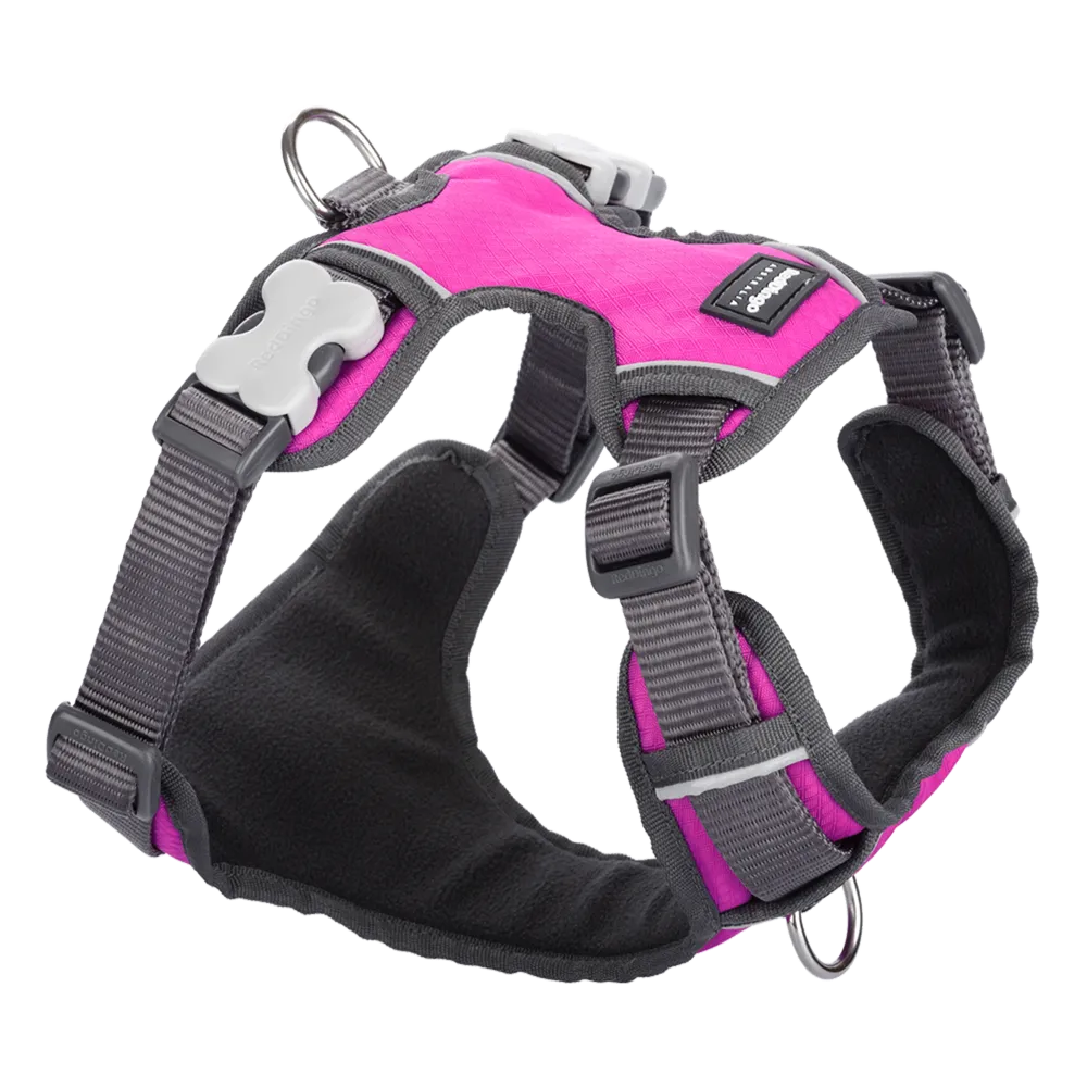 Red Dingo Padded Harness Hot Pink XS