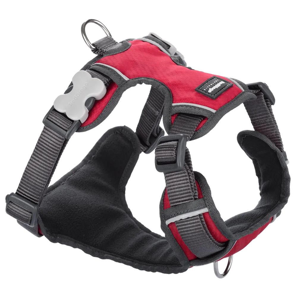 Red Dingo Padded Harness Red L