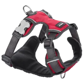 Red Dingo Padded Harness Red M