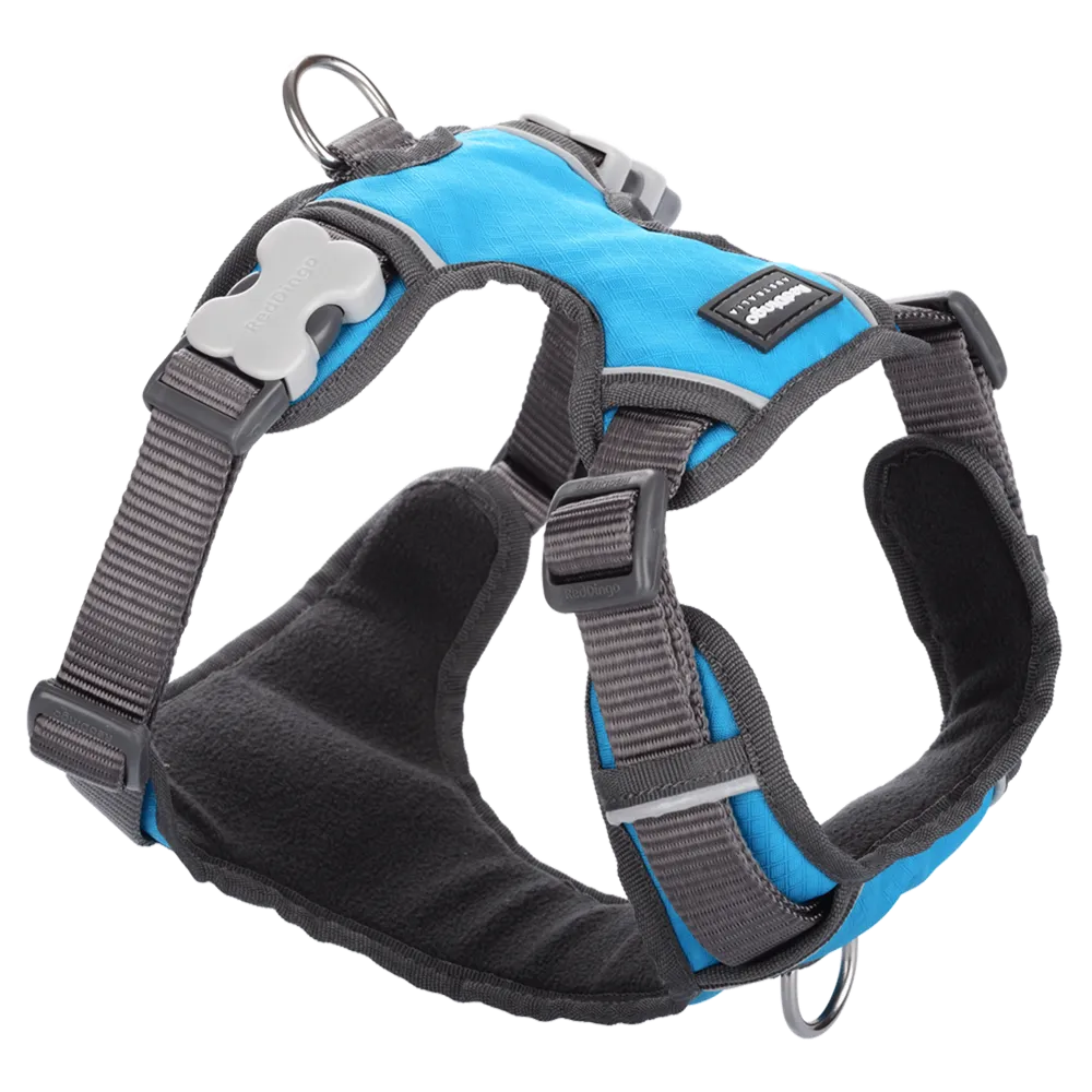 Red Dingo Padded Harness Turquoise L