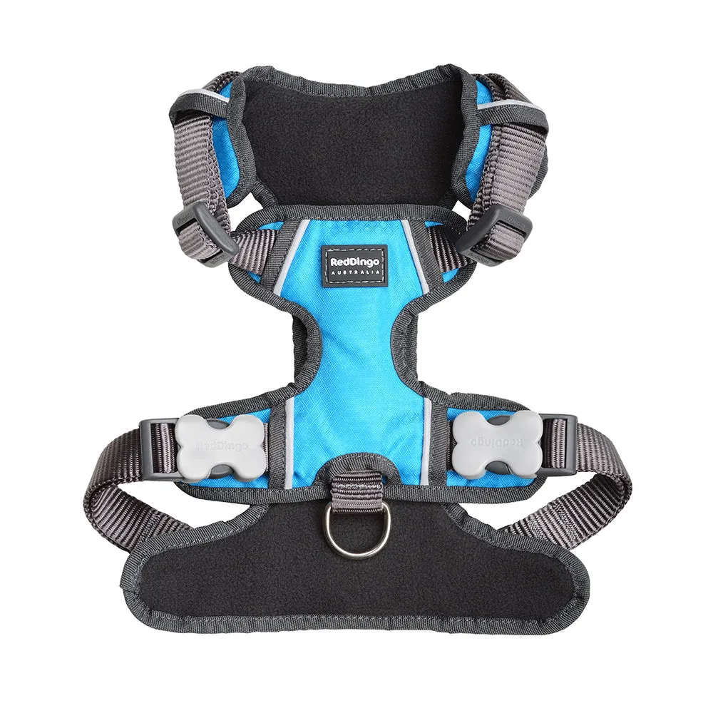 Red Dingo Padded Harness Turquoise L