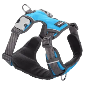 Red Dingo Padded Harness Turquoise L