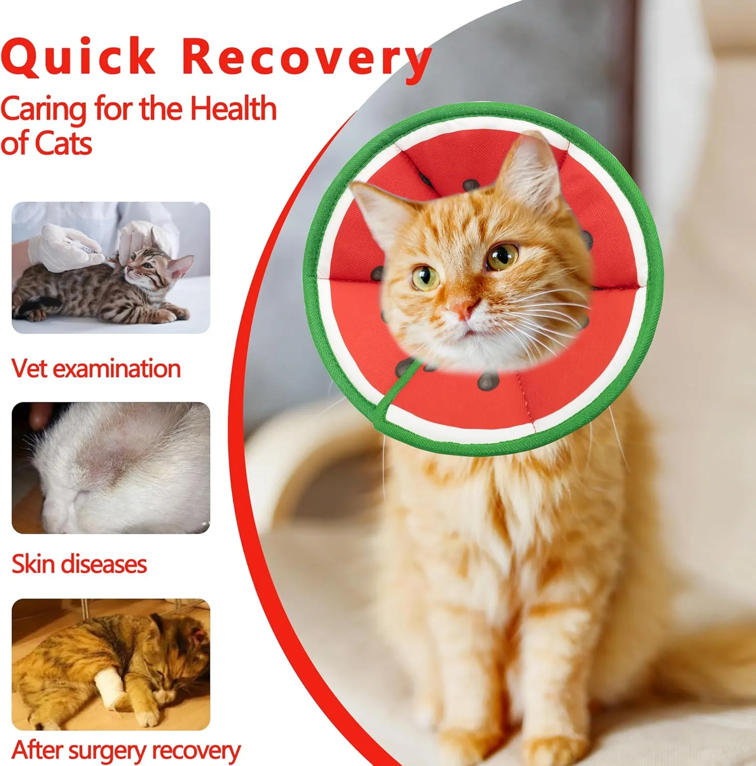 Soft Adjustable Cat Cone Collar, Comfortable Recovery Collar for Cats After Surgery (Watermelon, Small)