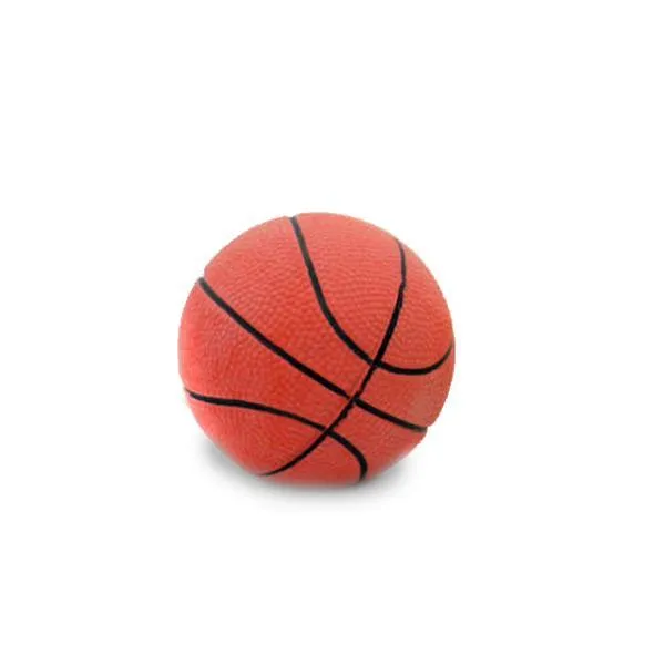 Sports Balls Dog Toy