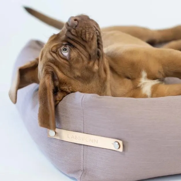 STOKKE Luxury High Side Dog Bed by Labbvenn in Grey