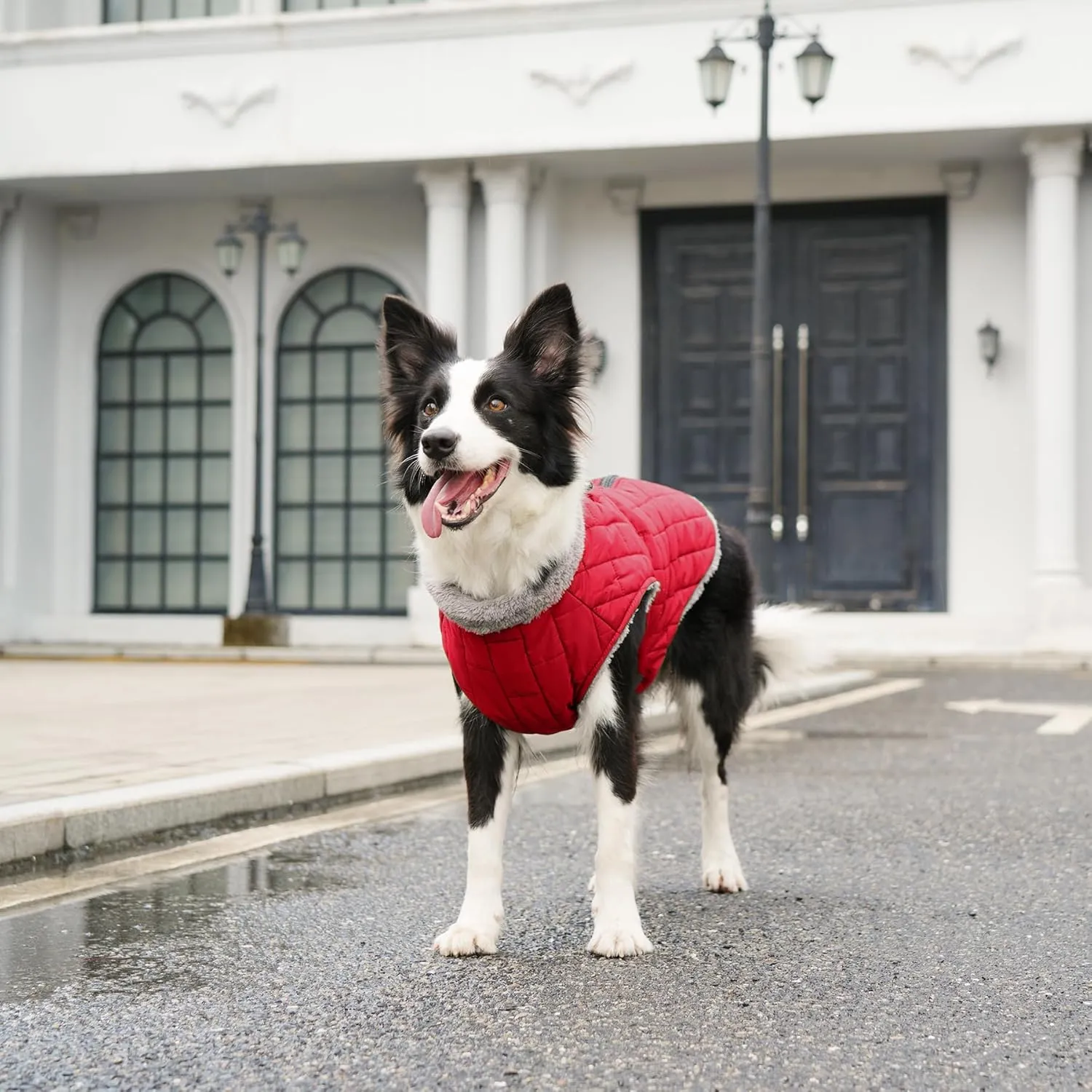 Warm Fleece Dog Coats with Durable Harness Buitl in D-Ring,Waterproof Doggie Jacket for Medium Dogs,Dog Vest for Cold Winter,Red XL