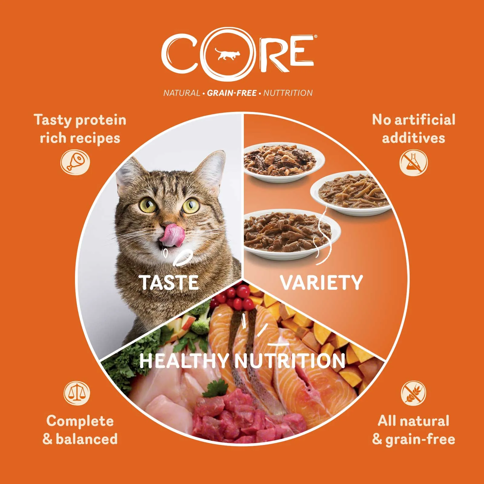 WELLNESS CORE Cat Tender Cuts with Tuna in Savoury Gravy 85g