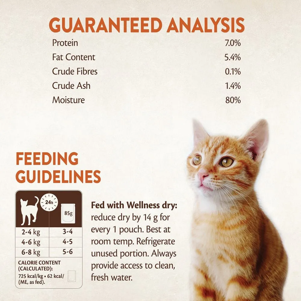 WELLNESS CORE Cat Tender Cuts with Tuna in Savoury Gravy 85g
