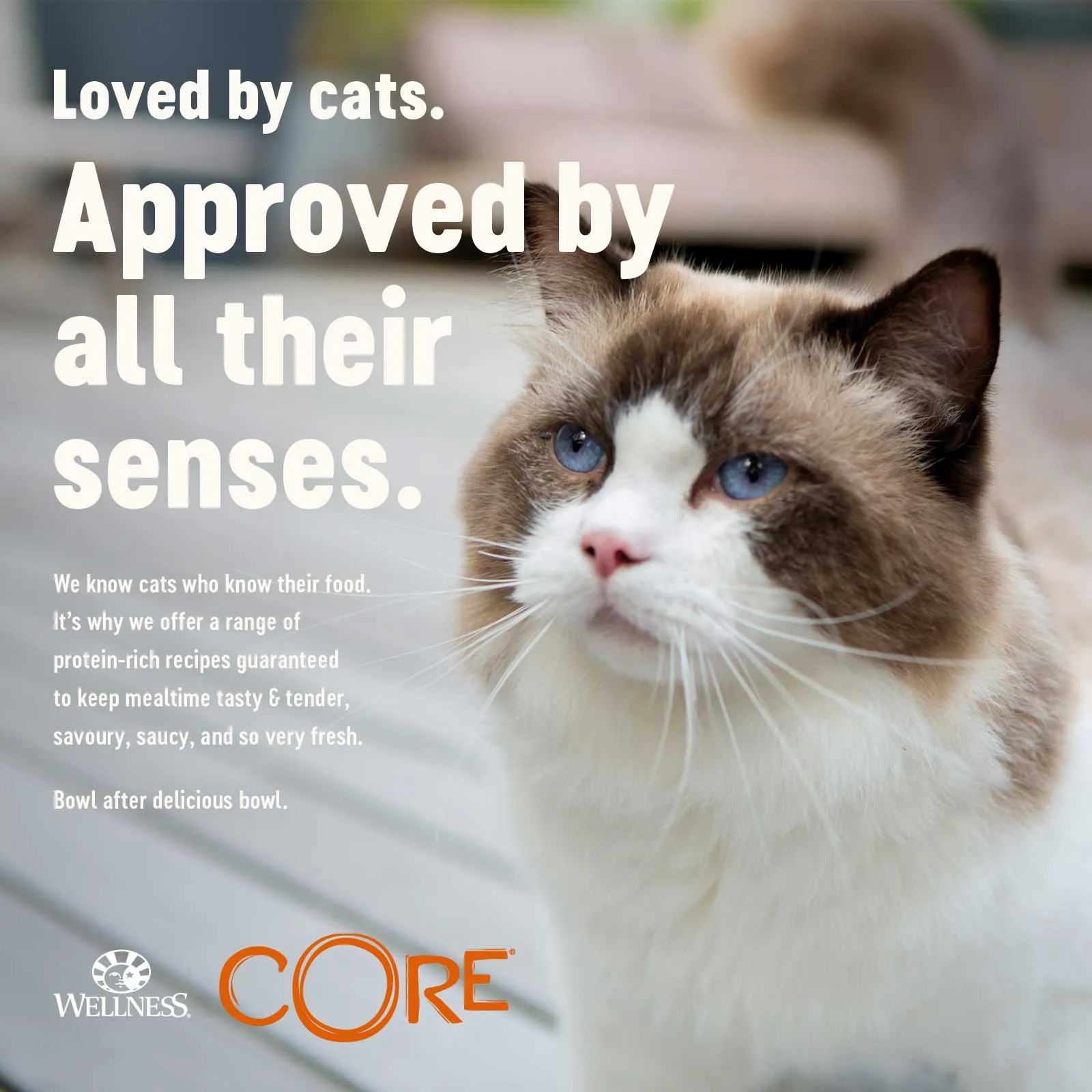 WELLNESS CORE Cat Tender Cuts with Tuna in Savoury Gravy 85g